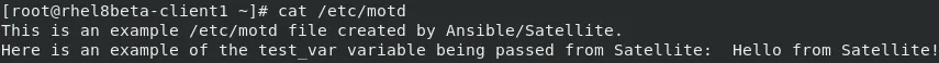 Validating /etc/motd was updated Validating /etc/motd was updated