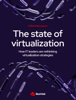 Front cover of The state of virtualization ebook