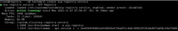 Private registry running Private registry running