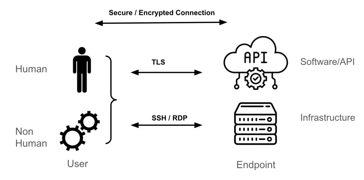 Transport layer and endpoints