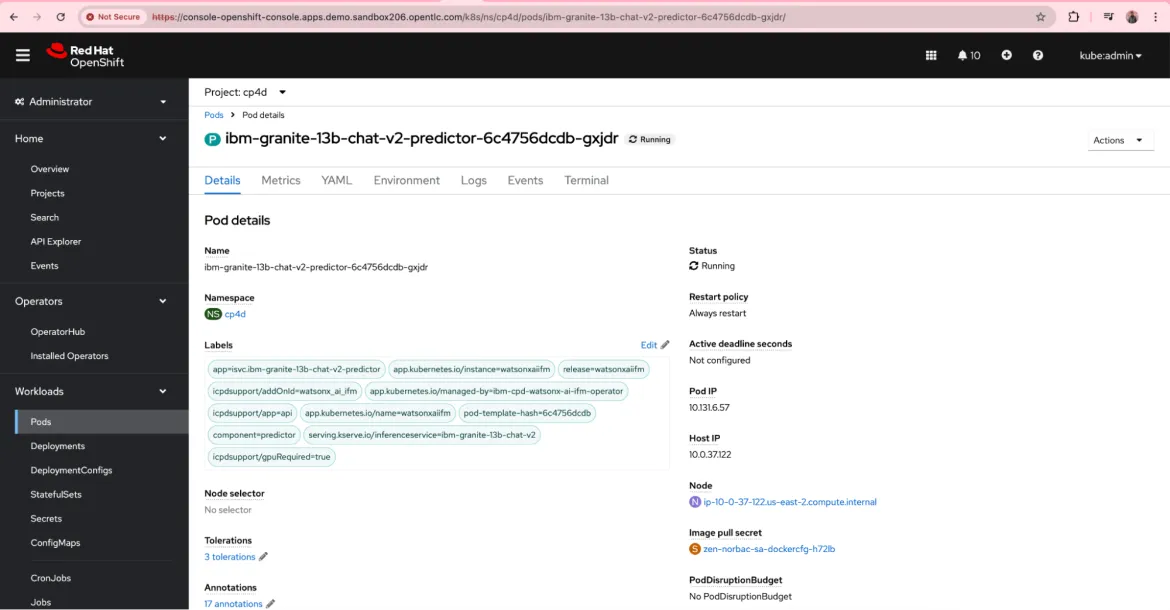 Image showing pod running IBM Granite series model on OpenShift AI