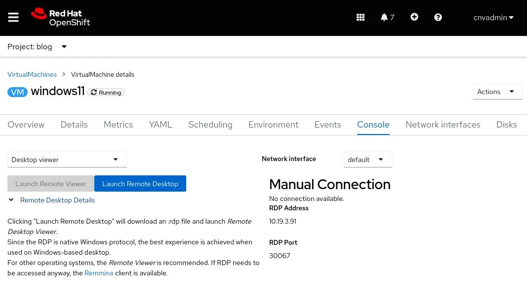 rdp-connection-info