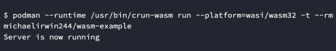 Screenshot of a command line starting podman