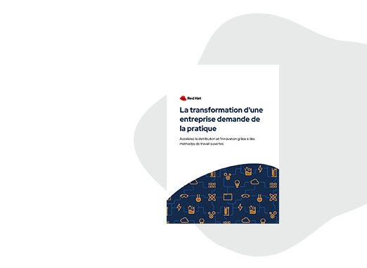 Livre numérique : La transformation d'une entreprise demande de la pratique